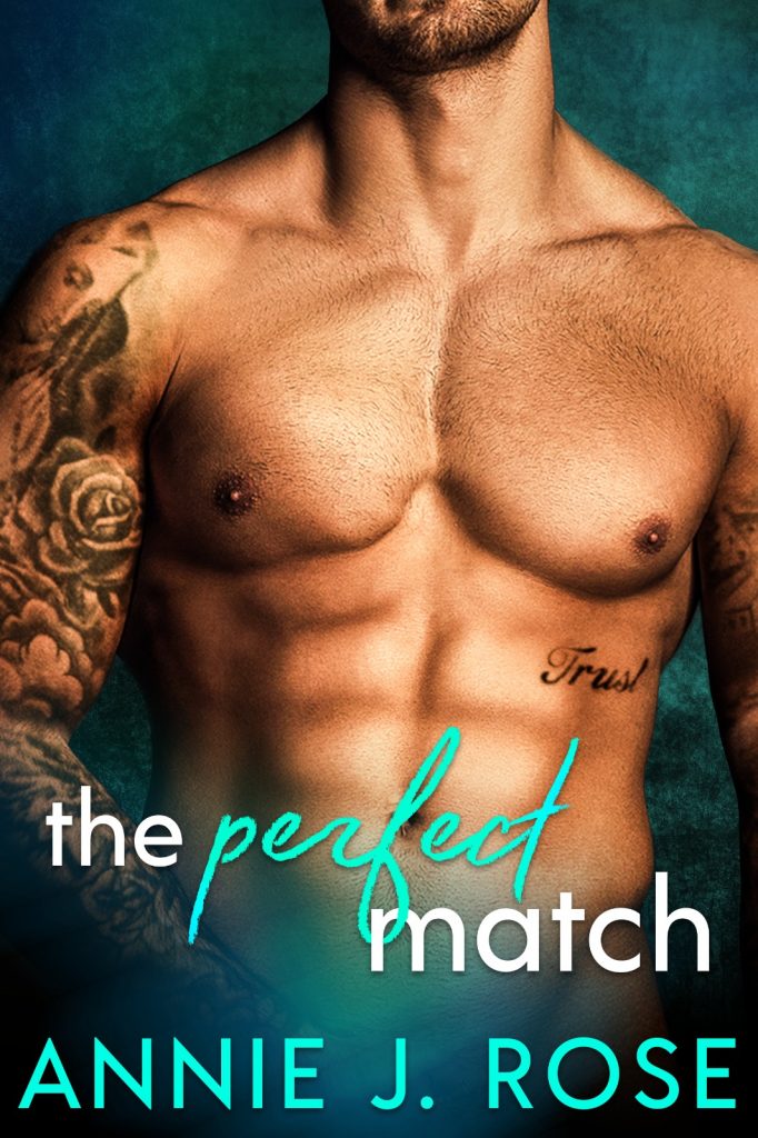 Featured Book The Perfect Match By Annie J Rose 